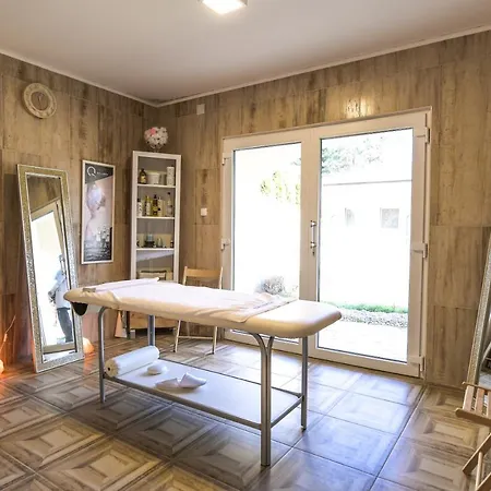 Pensionat Suncani Breg Vrdnik