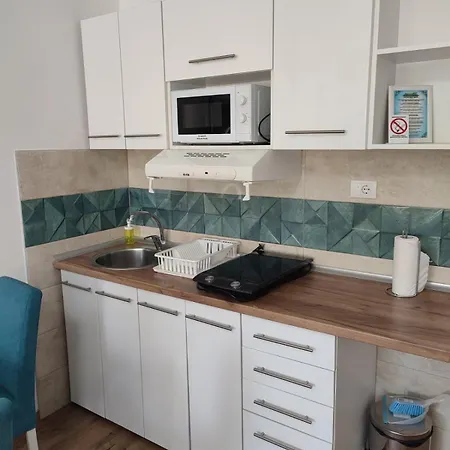 Pensionat Suncani Breg Vrdnik